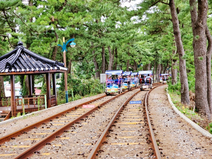 삼척해양레일바이크 예약 용화역 궁촌역 셔틀버스