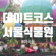 서울 데이트 코스, 나들이 추천, 서울식물원 다녀왔어요!(가족들이랑 같이 가도 너무 좋아요!)
