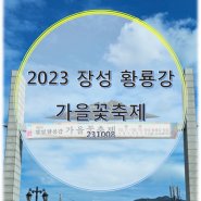 2023 장성 황룡강 가을꽃축제