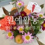 충북 청주 유치원 가을 원예 활동 꽃키트 전국 배송 가능
