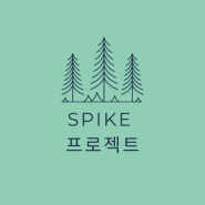 SPIKE 프로젝트 (미국 입시 컨설팅)