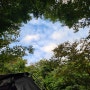 [여덟번째 캠핑] 무주 무주구천동 캠핑장_폴라리스 아퀼라(다크그레이 리빙쉘텐트)