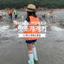 서울근교 가장 가까운 동죽 맛조개 캐기 갯벌체험 가능한 무의도 하나개해수욕장 물때