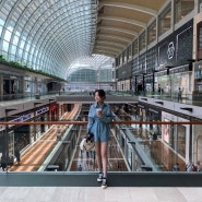 [싱가포르] 2일차 일정 마리나 베이 쇼핑 몰 완전정복