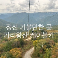 10월 강원도 축제 한국 치유관광 페스타 정선 가볼만한곳 가리왕산케이블카