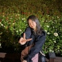 전남 장성, 10월의 꽃을 볼 수 있는 전남 꽃 축제: 장성 황룡강 가을꽃축제