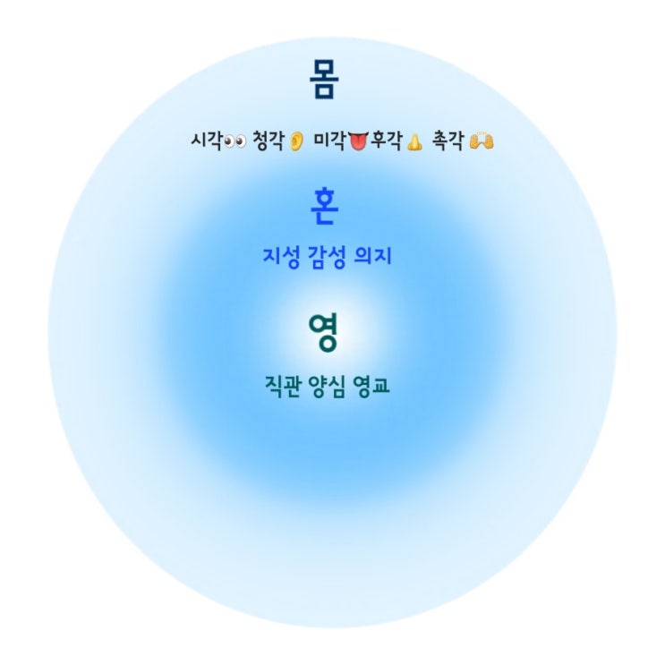 삼위일체 하나님의 형상대로 지음 받은 인간의 구성요소 (영 혼 몸) 사람의 영/혼/육 : 네이버 블로그