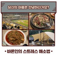 행복을 찾아서! 바론인의 스트레스 해소법 공개! (feat. 참으면 병 돼요)