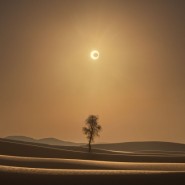 이틀 뒤 예정된 우주쇼 미리보기? UAE의 사막에서 관측된 '금환일식'