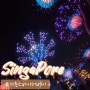 싱가포르 저녁시간에 가기 좋은 관광지 가든스바이더베이(슈퍼트리,플라워돔 등)