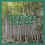 다케오 온천 여행기( feat. 사가여행 2일차)