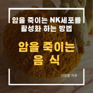 암을 죽이는 NK세포를 활성화 하는 방법 암을 죽이는 음식