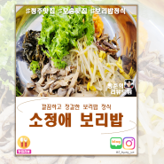[청주오송] 소정애 보리밥ㆍ깔끔한 한식 추천 '보리밥 정식' 드세요! (신규맛집/내돈내산)