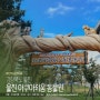 [경북/울진여행] 울진아쿠아리움 왕피천공원 무료관람 동물원