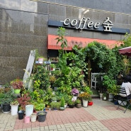 청당동 커피 숲 카페 따뜻한 분위기 카페맛집