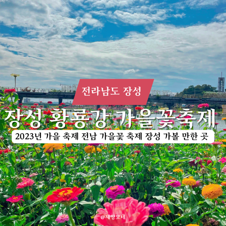 2023년 가을 축제 전남 가을꽃 축제 장성 가볼 만한 곳 장성 황룡강 가을꽃축제 : 네이버 블로그 2023년 가을 축제 전남 가을꽃 축제 장성 가볼 만한 곳 장성 황룡강 가을꽃축제 : 네이버 블로그