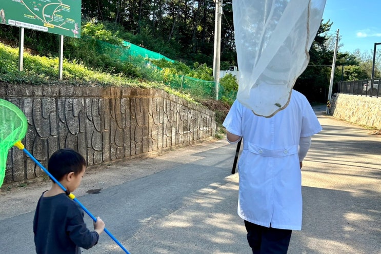 전남 순천 곤충박물관 곤충박사님과 생태탐사, 곤충러버들...