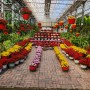 [아산여행] 세계꽃식물원; 봄에 오면 좋을 식물원