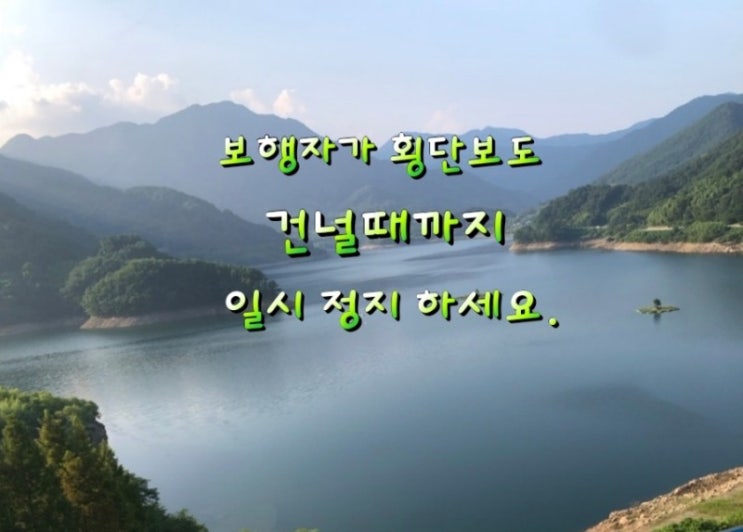 [1년 전 오늘] 보행자가 횡단보도 건널 때까지 일시 정지 하세요. : 네이버 블로그