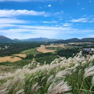 제주도 여행 일본 동남아 대비 여행 경쟁력에 대한 의문들