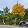 [2023.10.13] 동네, 분위기 좋은 곳으로 가을 라이딩 : BMW R1200GS(LC)