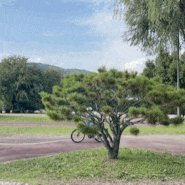 8세 아이와 한강공원 | 자전거 타기 좋은 천호 광나루자전거공원 (ft.대여정보)