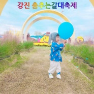 강진 2023 춤추는갈대축제