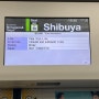 도쿄 여행 2일차| 효탄야6초메 장어덮밥| 카페 드 람브르| 모헤지 몬자야끼| 시부야 스카이