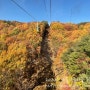 [대구] 대구의 가을을 즐길 수 있는 팔공산 케이블카 + 팔공산 한식 산에꽃이피네