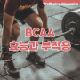 BCAA 효능, 부작용, 복용법