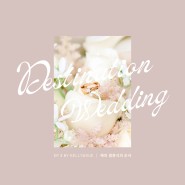 데스티네이션 웨딩 스냅 이야기 ep3. 해외 결혼식의 순서 (1)