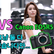 Sony A7R4 VS Canon EOS R5 비교. "전 그냥 둘다 쓰고 있습니다만..."