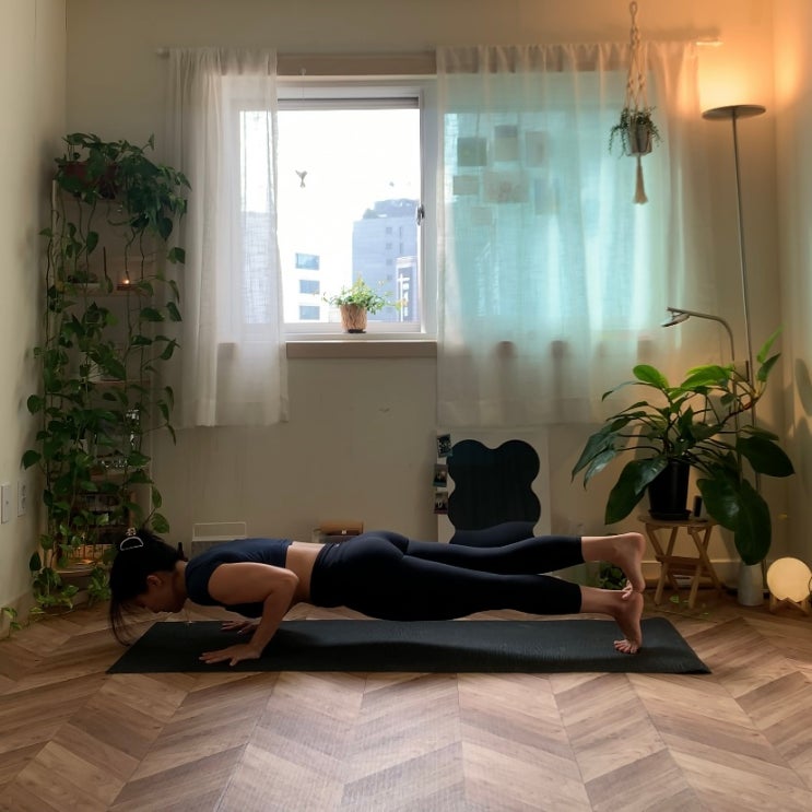 Core Vinyasa Class _ one day class | 페트리코 요가 스튜디오 : 네이버 블로그