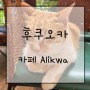 후쿠오카 :: 메이노하마 근처 고양이카페 cafe Alikwa