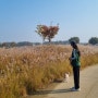 시흥갯골생태공원은 가을종합선물세트