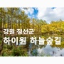 하이원 하늘숲길 트레킹(feat. 스탬프투어)