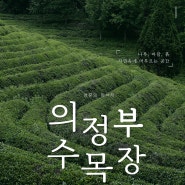 의정부수목장 아름답고 안정적인 곳