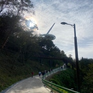 [인천 강화도] 화개정원 모노레일 전통게임체험존까지 볼것도할것도많은 이곳 화개산 전망대까지 등산코스 빰치는 산책로