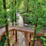 대전 여행 장태산자연휴양림 초록으로 물들었던 메타세쿼이아 나무숲