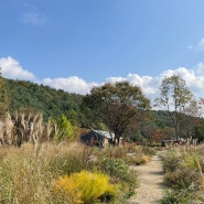 [Landscape] 아름다운 정원에 나타나는 일곱 개의 계절 Seven seasons