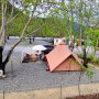 부산 근교 경남 밀양 캠핑장 호두숲에서 가을 캠핑