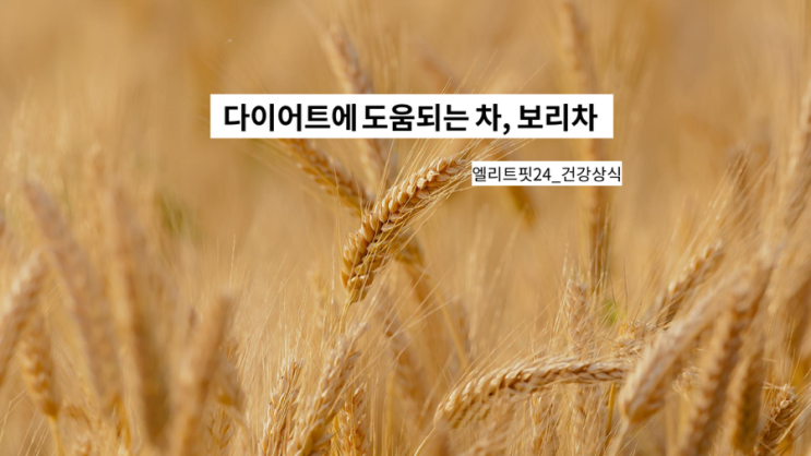 [엘리트핏24][다이어트에 도움 되는 차, 보리차] : 네이버 블로그