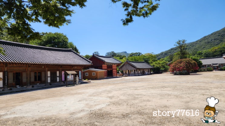 고창 선운사 3 : 네이버 블로그