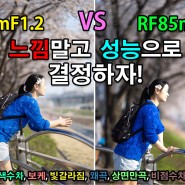 RF50mmF1.2 VS RF85mmF1.2 느낌 말고 성능으로 비교하고 결정합시다!
