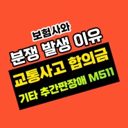 기타 추간판장애 m511 교통사고 합의금 분쟁 이유