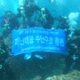 [청주스쿠버] 특수임무유공자회충북지부 제주 서귀포 다이빙투어