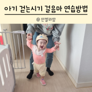 아기 걷는시기 걸음마 연습방법 주의할 점