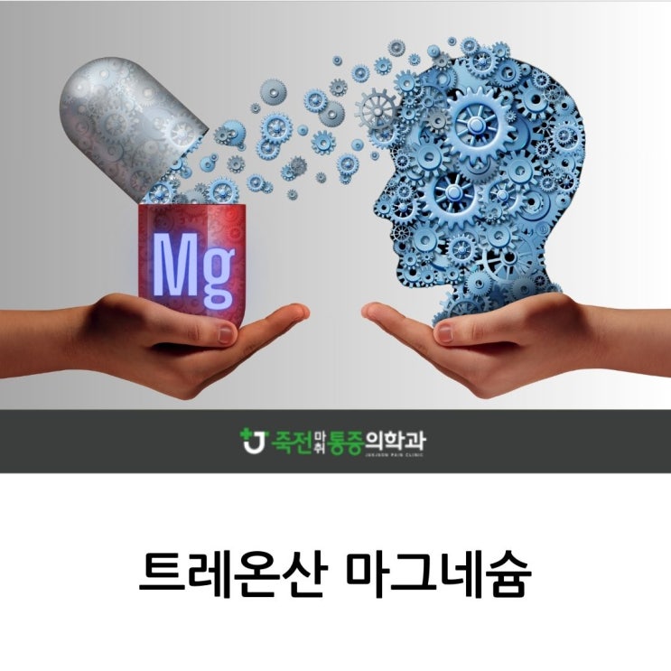 트레온산 마그네슘:혈액 뇌 장벽 통과 : 네이버 블로그 트레온산 마그네슘:혈액 뇌 장벽 통과 : 네이버 블로그