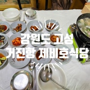 [강원도 고성 맛집] 거진항 제비호식당 (생대구탕, 도치알탕)