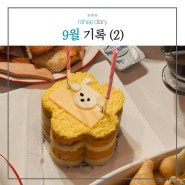 [2023] 9월 기록 (2)_가을/뚝섬한강공원 써니텐트 내돈내산/원샷원컵 맥주/창석이 생일파티/가평 천계 닭갈비 :)